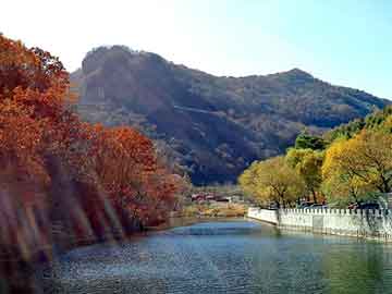 管家婆黑白马报图库，帕坦汀